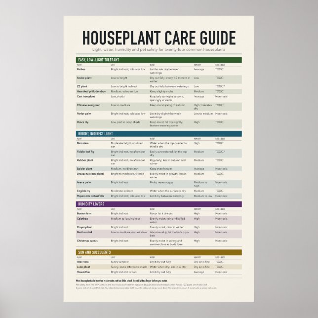 Houseplant Care Guide Poster (Front)