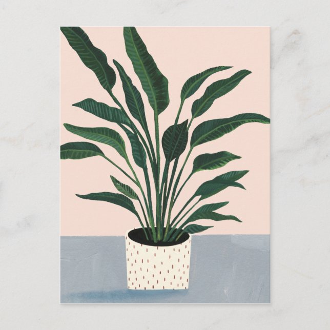 Houseplant Postcard (Front)