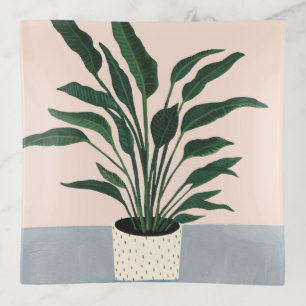 Houseplant Trinket Tray