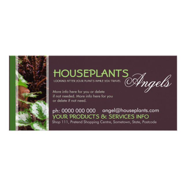 Houseplants Angels Rack Card (Front)