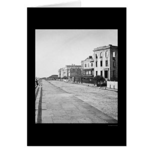 Houses on the Battery in Charleston, SC 1865 Cards