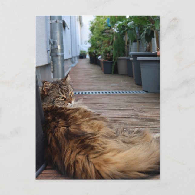 Housewarming or just moved card (Front)