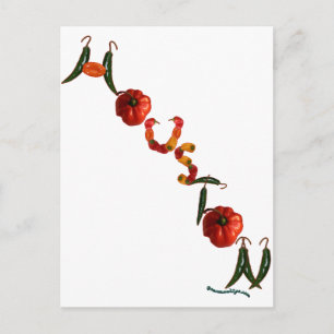 Houston Chili Peppers Postcard