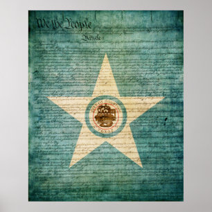 Houston City Flag Poster