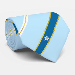 Houston city flag-seal Neck Tie