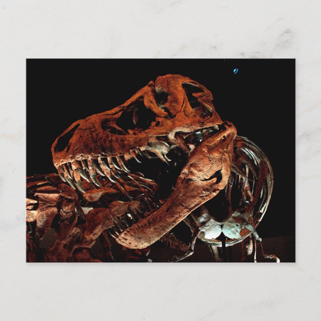 Houston Museum of Natural Science Postcard (Front)