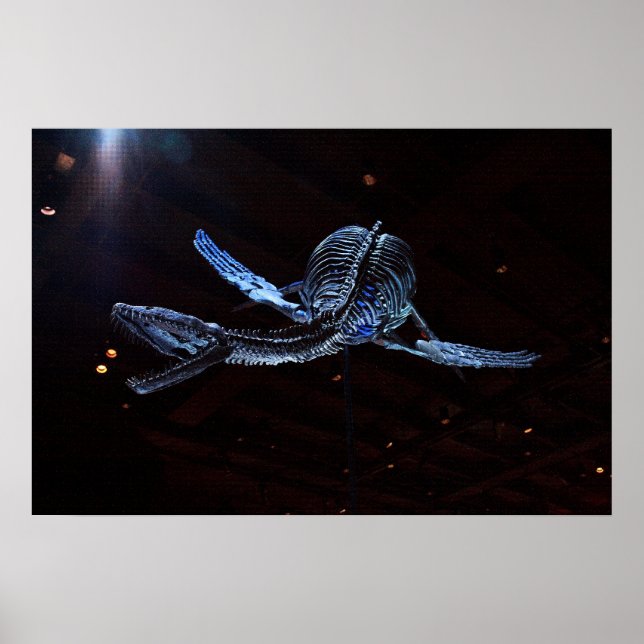 Houston Museum of Natural Science Poster (Front)