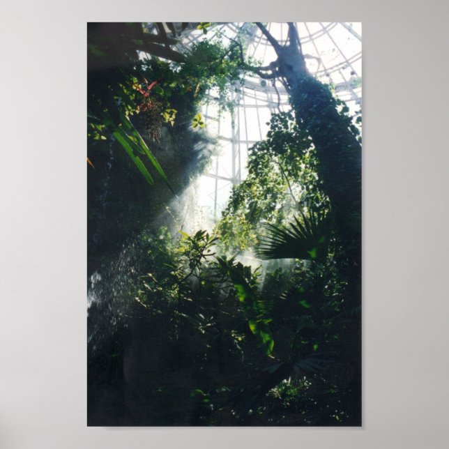 Houston Museum of Science and Nature Poster (Front)