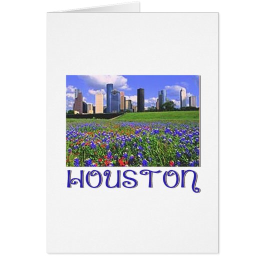 Houston Texas Bluebonnets Cards (Front)
