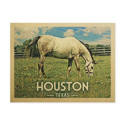 Houston Texas Horse Farm -Vintage Travel Postcard
