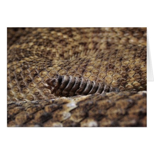 Houston Zoo (Front Horizontal)