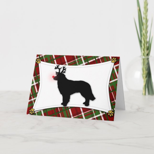 Hovawart Reindeer Christmas Card (Front)