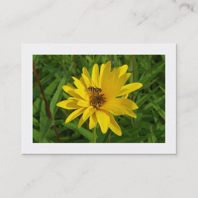 Hover Fly on a Yellow Chrysanthemum (Bordered) Business Card (Front)