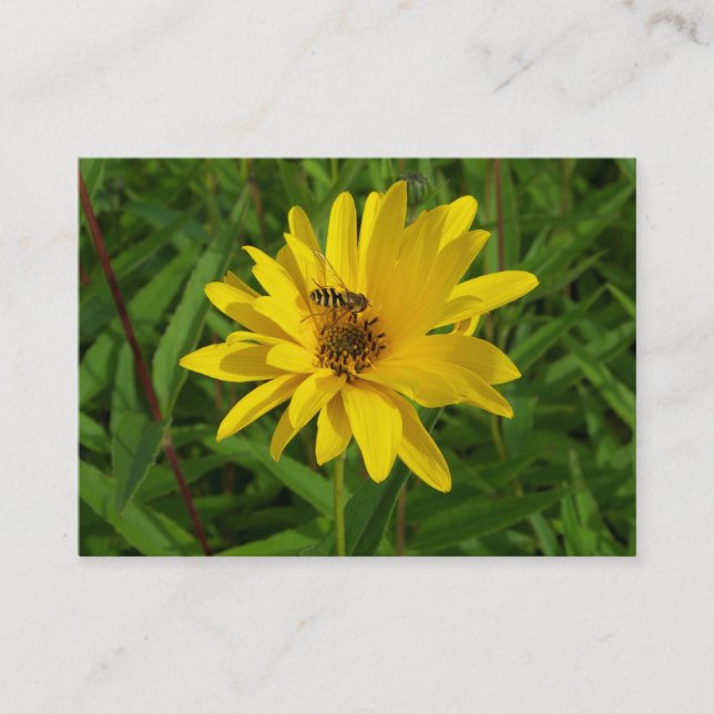 Hover Fly on a Yellow Chrysanthemum Business Card (Front)