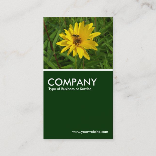 Hover Fly on a Yellow Chrysanthemum - Dark Green Business Card (Front)