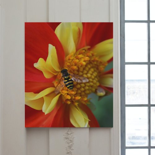 Hover Fly on Orange and Yellow Dahlia Gallery Wrap