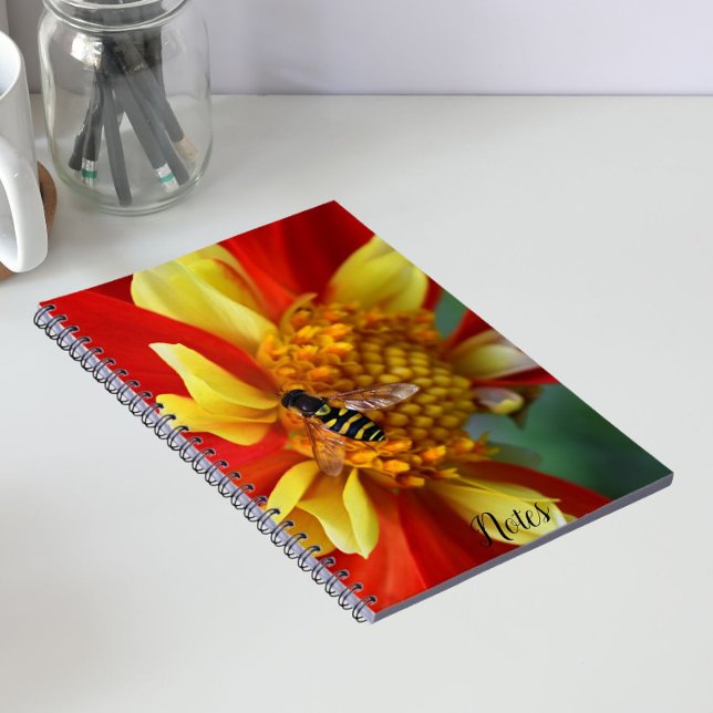Hover Fly on Orange and Yellow Dahlia Notebook (In Situ)