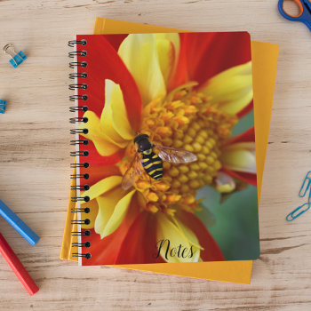 Hover Fly On Orange And Yellow Dahlia Notebook by northwestphotos at Zazzle