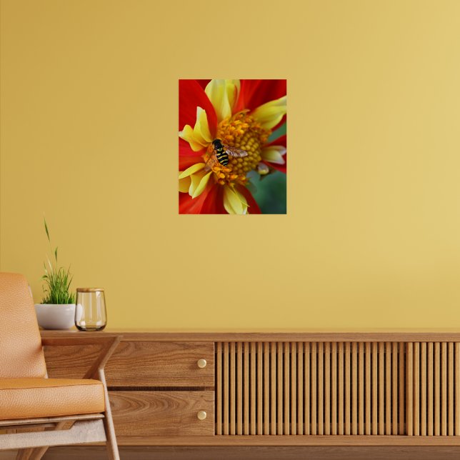 Hover Fly on Orange and Yellow Dahlia Poster (Living Room 2)