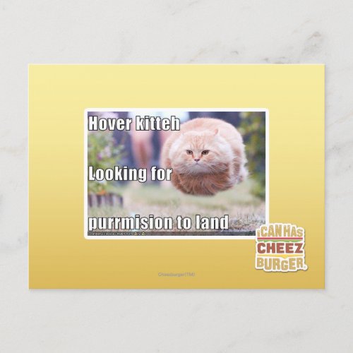 Hover kitteh postcard