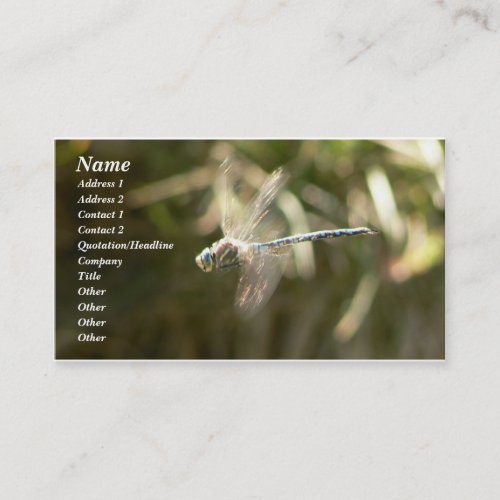 Hoverer Business Card Template
