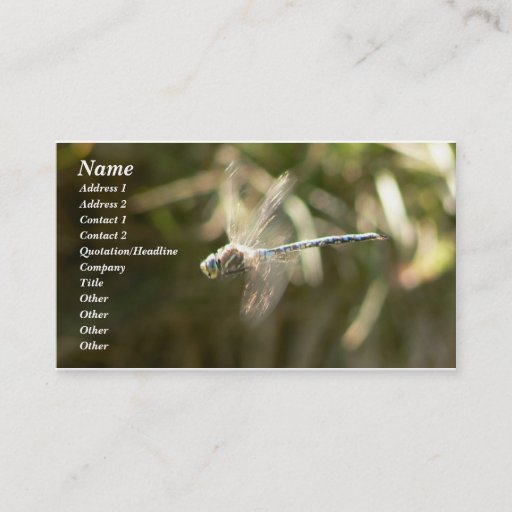 Customizable Hoverer Business Card Template