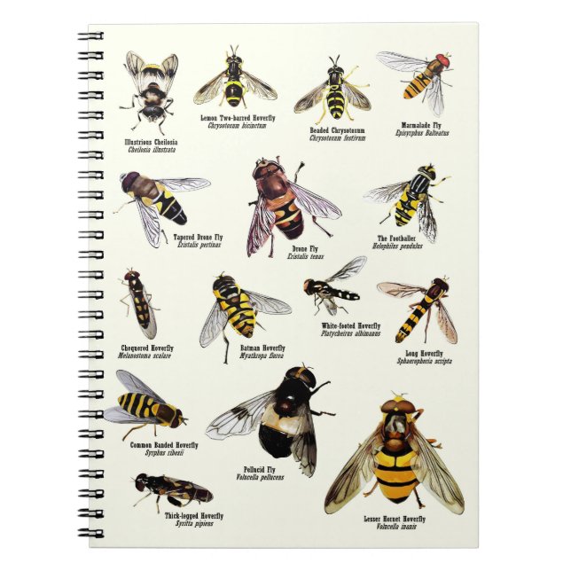 Hoverflies of the UK - Notebook (Front)