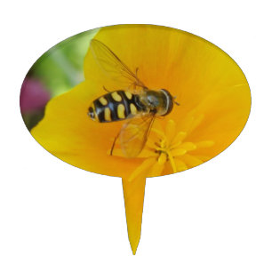 Hoverfly and Californian Poppy Cake Pick