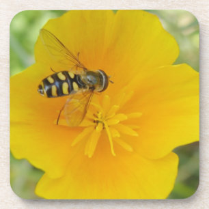 Hoverfly and Californian Poppy Cork Coaster