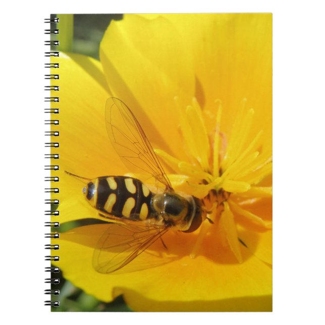 Hoverfly and Flower Notebook (Front)