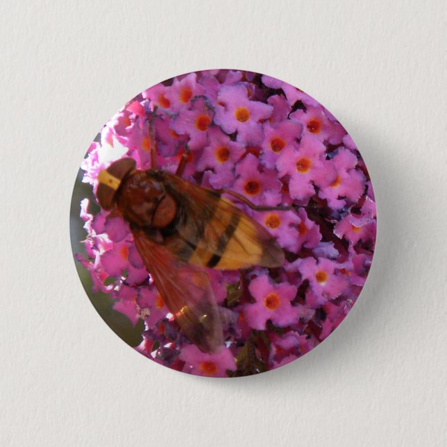 Hoverfly Button (Front)