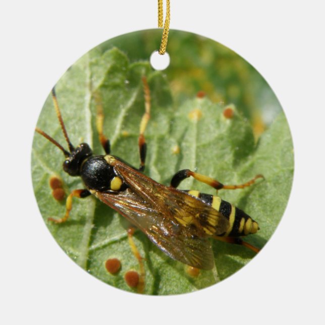 Hoverfly Custom Birthday Ceramic Ornament (Front)