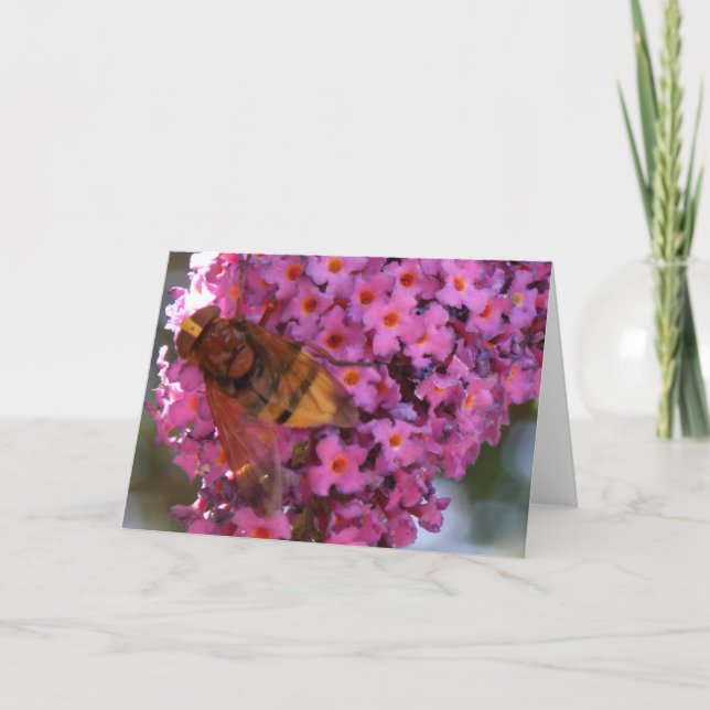 Hoverfly Greeting Card (Front)