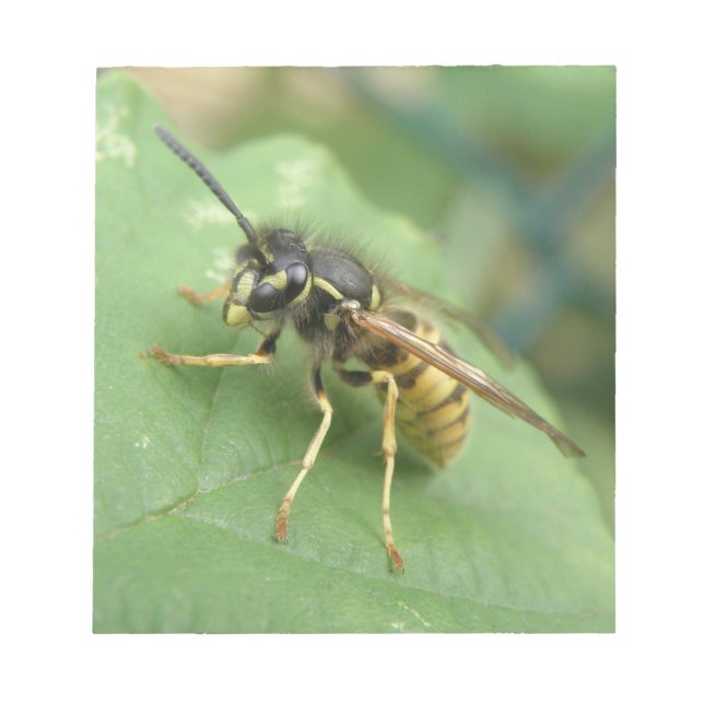 Hoverfly Macro Notepad (Front)