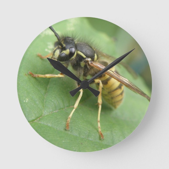 Hoverfly Macro Wall Clock (Front)
