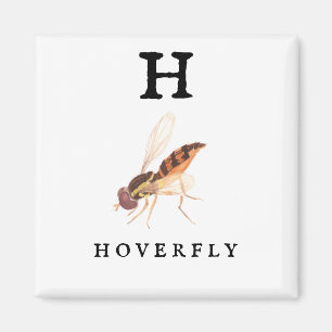 Hoverfly magnet