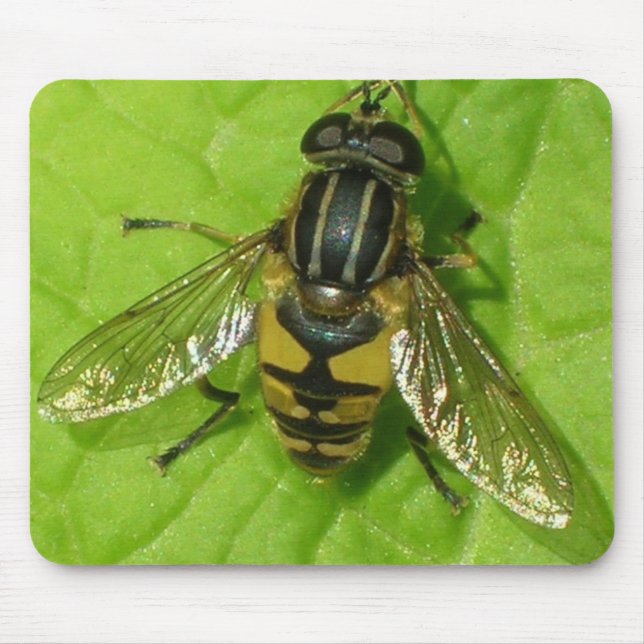 Hoverfly mouse mat (Front)