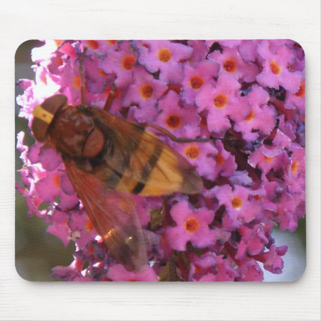 Hoverfly Mousepad (Front)