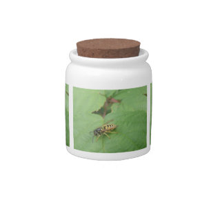 Hoverfly on a Leaf Candy Jar