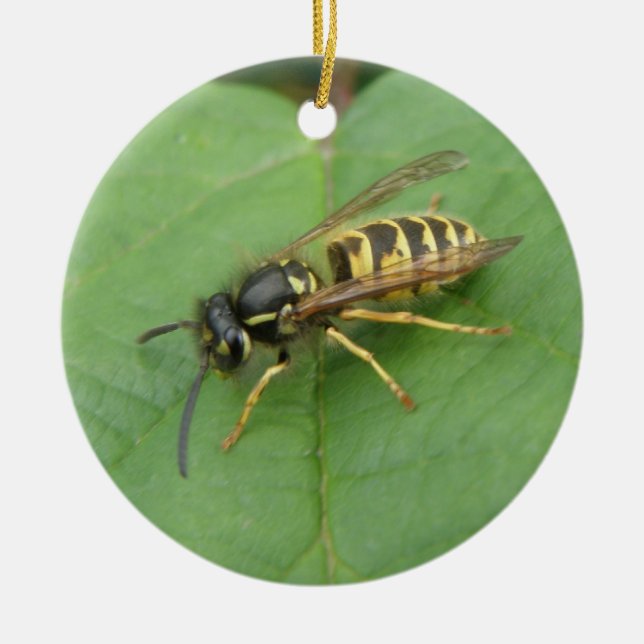 Hoverfly on a Leaf Custom Birthday Ceramic Ornament (Front)
