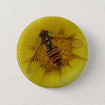 Hoverfly On A Marigold Button at Zazzle