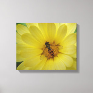 Hoverfly on a Marigold Canvas Print