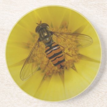 Hoverfly On A Marigold Coasters by Fallen_Angel_483 at Zazzle