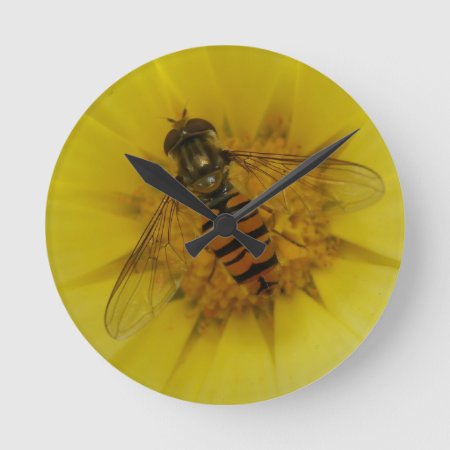 Hoverfly On A Marigold Wall Clock