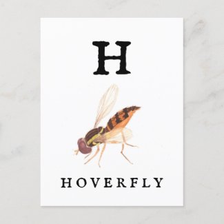 Hoverfly  postcard