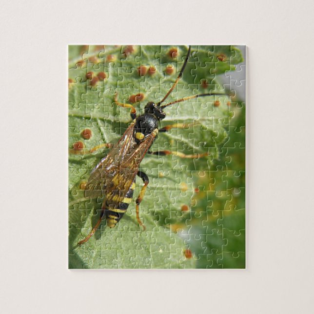 Hoverfly Puzzle (Vertical)