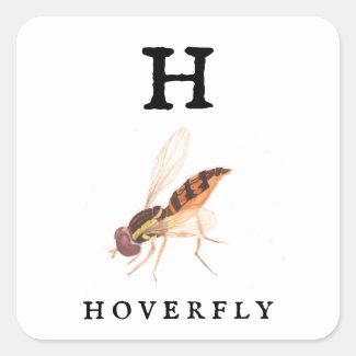 Hoverfly  square sticker