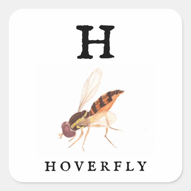 Hoverfly  square sticker (Front)