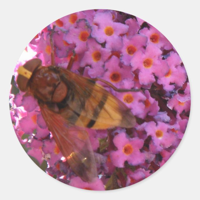 Hoverfly Sticker (Front)