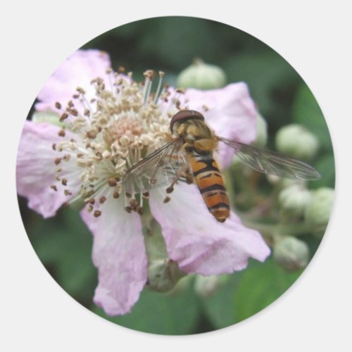 Hoverfly Stickers